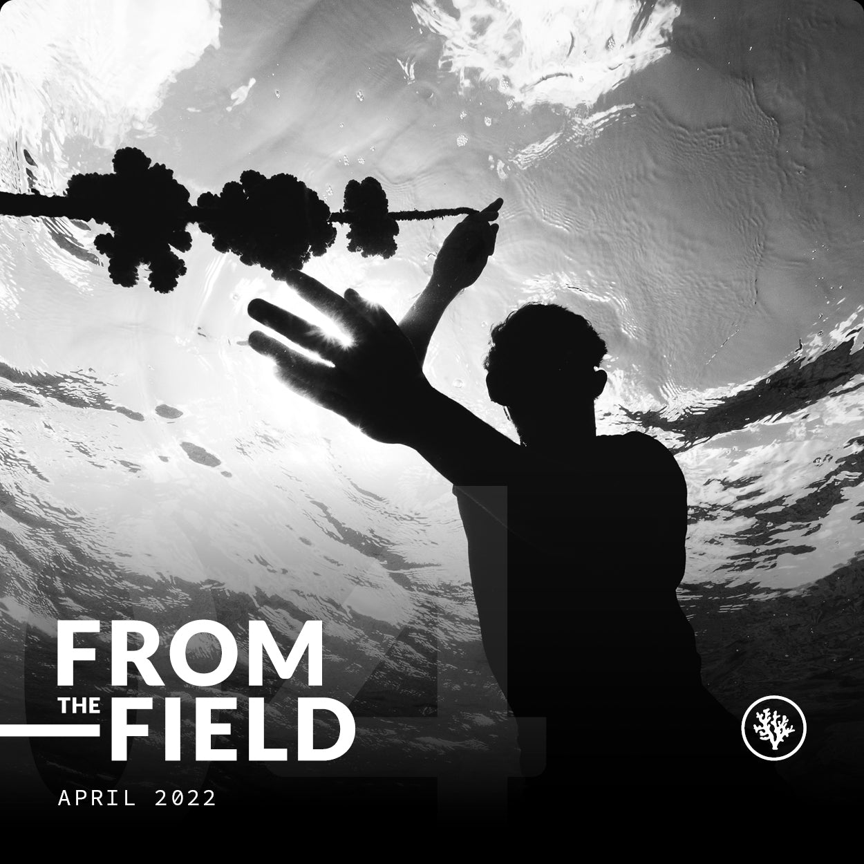 FROM THE FIELD - APRIL 2022