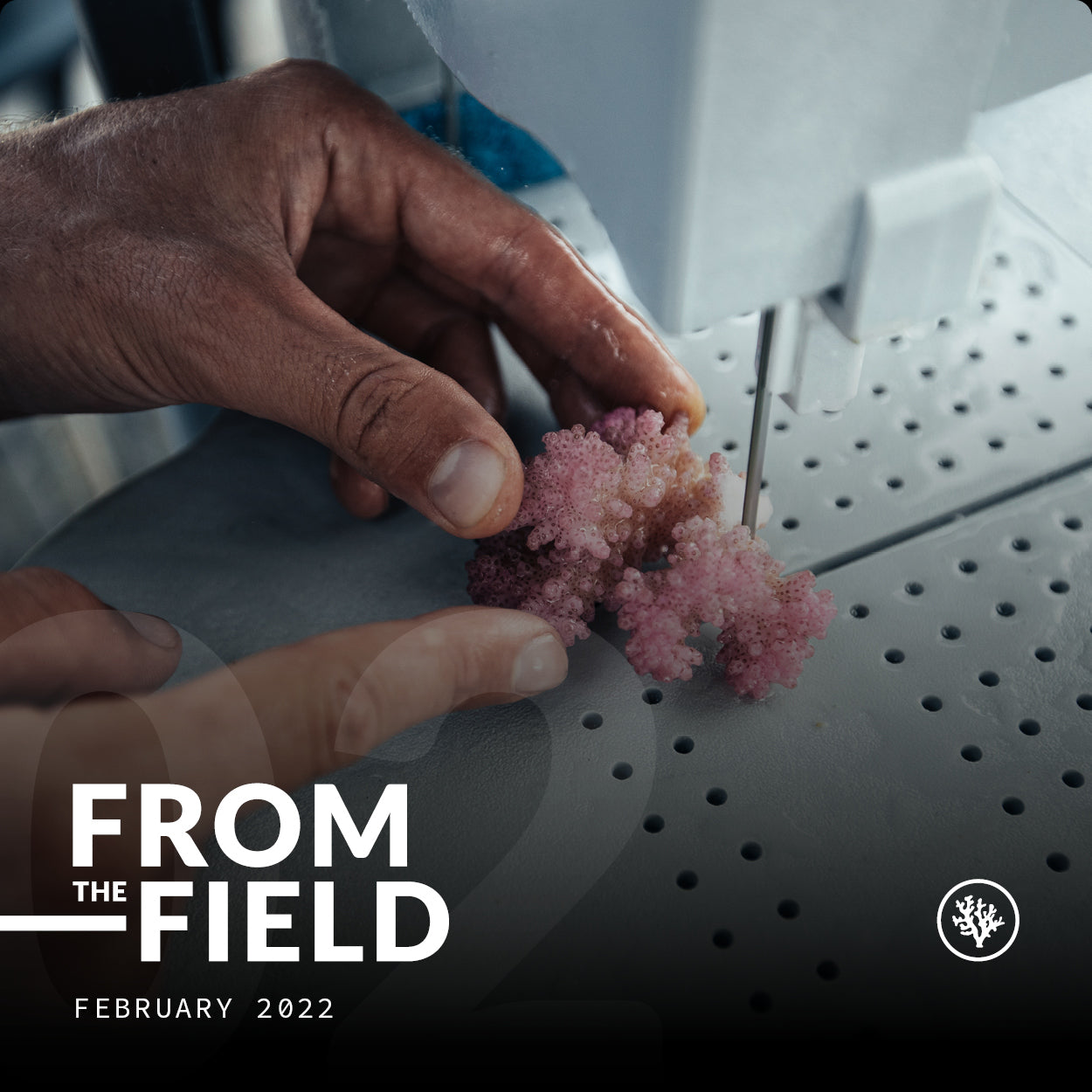 FROM THE FIELD - FEBURARY 2022