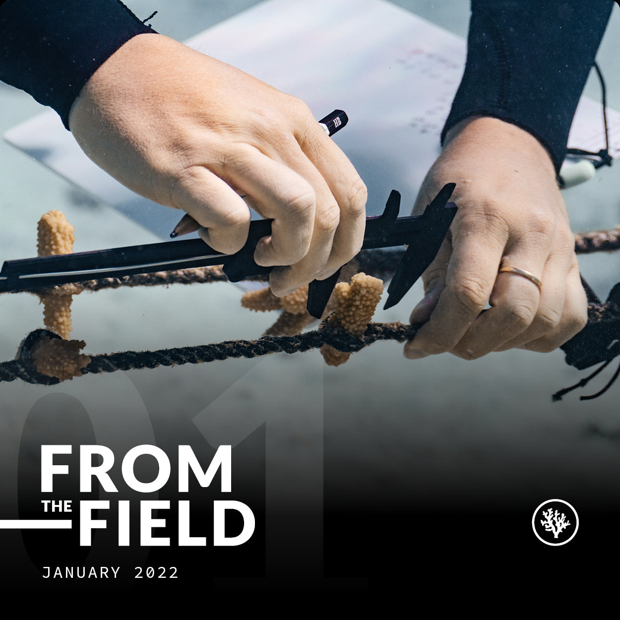 FROM THE FIELD - JANUARY 2022