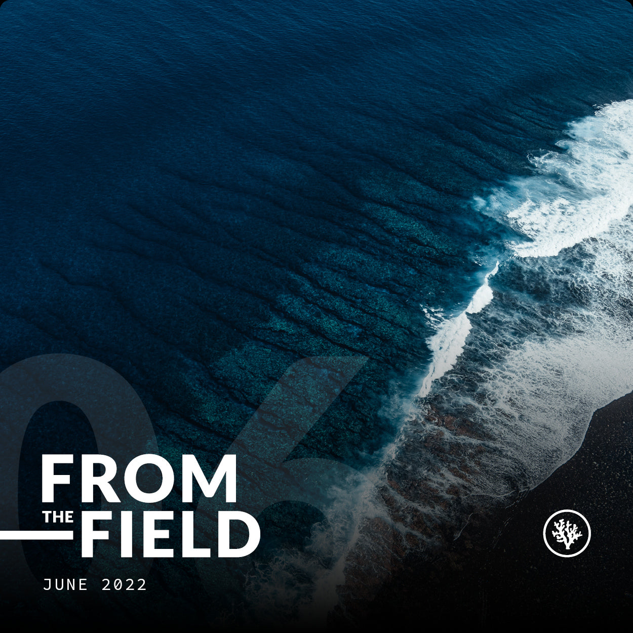 FROM THE FIELD - JUNE 2022