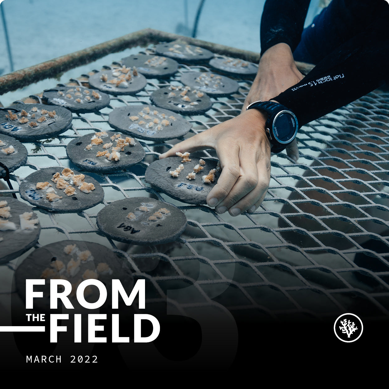 FROM THE FIELD - MARCH 2022