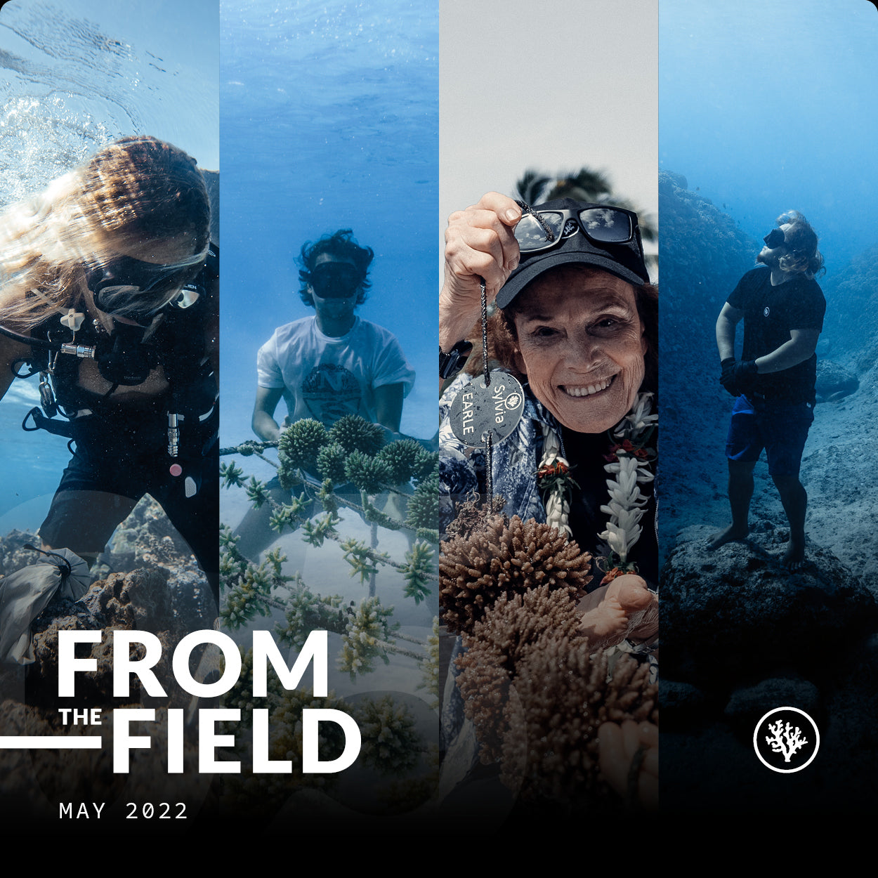 FROM THE FIELD - MAY 2022