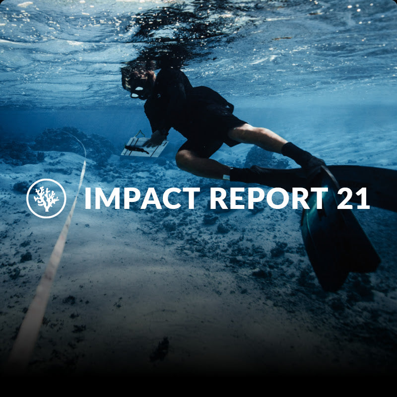 IMPACT REPORT - 2021