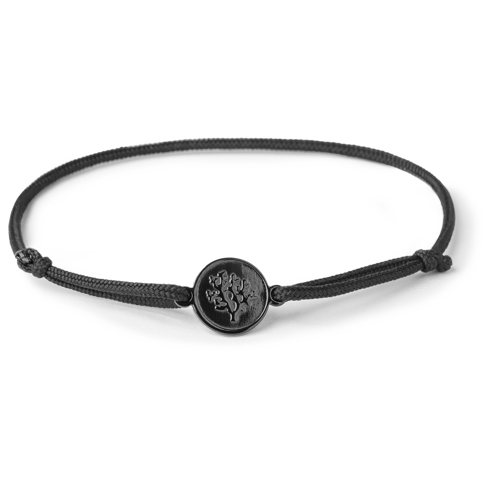 Coordinates 2025 bracelet instagram