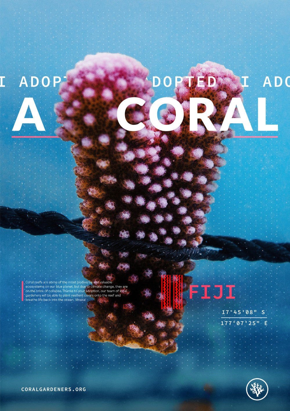 ADOPT A CORAL