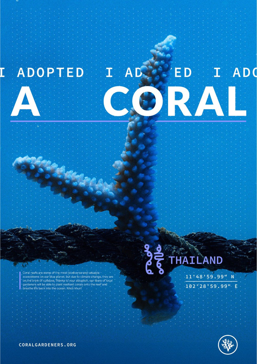 ADOPT A CORAL – Coral Gardeners