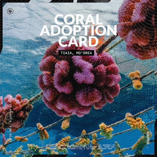 ADOPT A CORAL