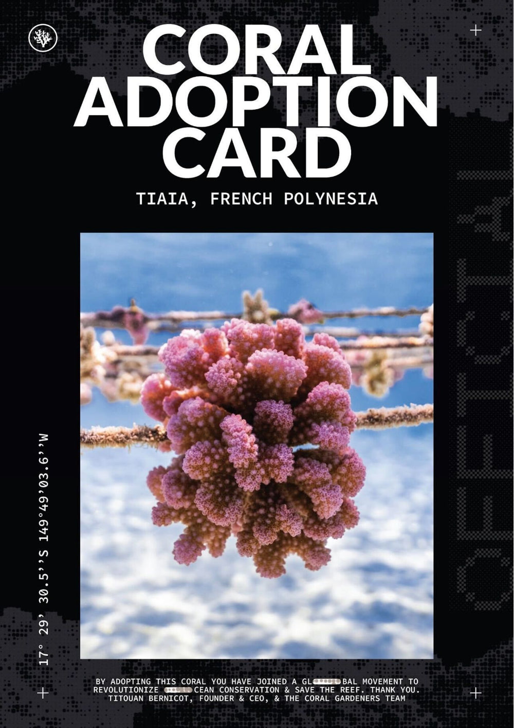 ADOPT A CORAL