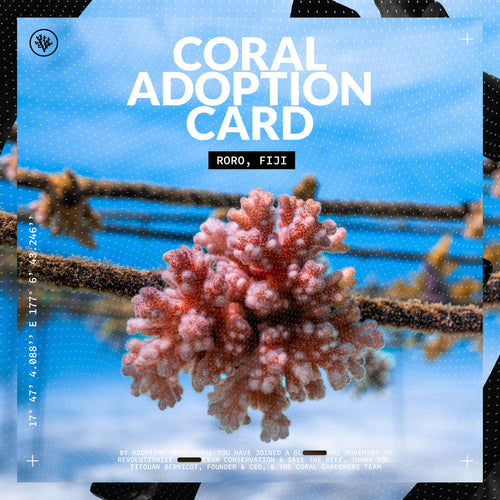 ADOPT A CORAL