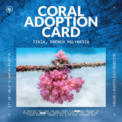ADOPT A CORAL
