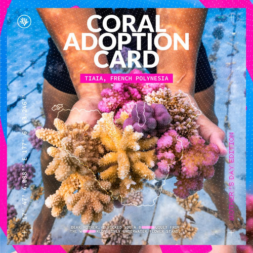 ADOPT A CORAL