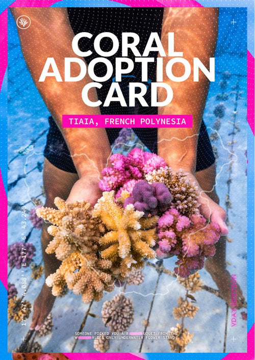 ADOPT A CORAL