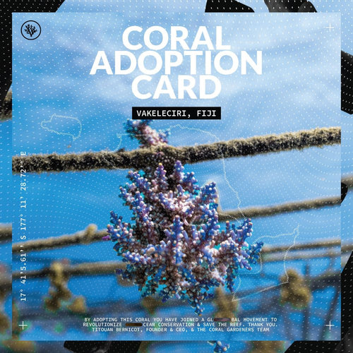 ADOPTEZ UN CORAIL