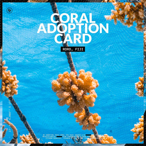 ADOPTEZ UN CORAIL