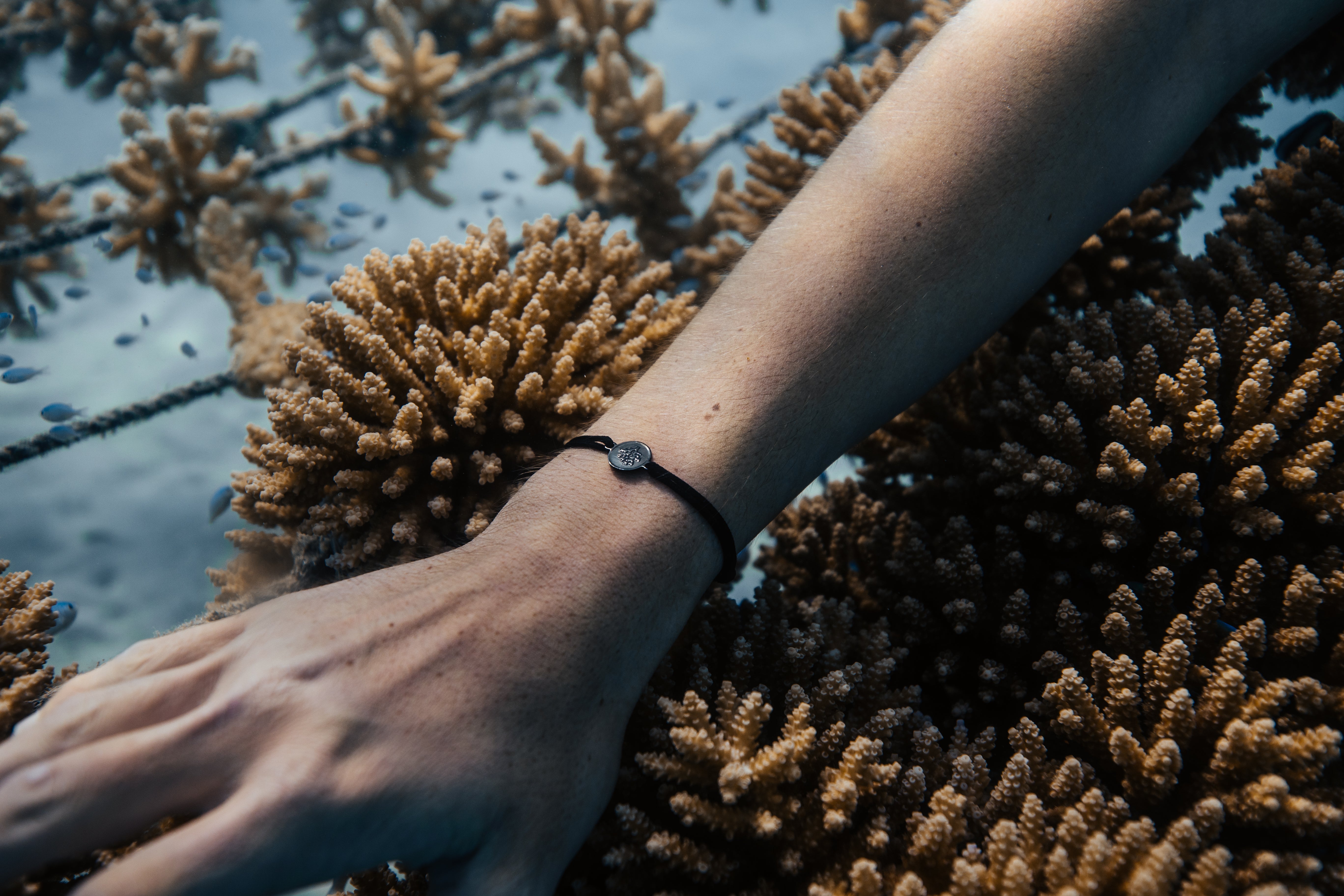 Coral bracelets deals for sale