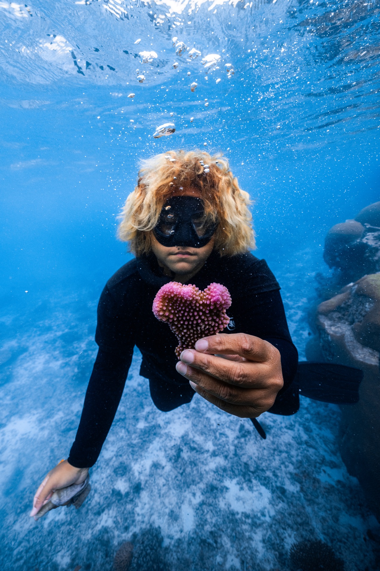 Corals held in two hands