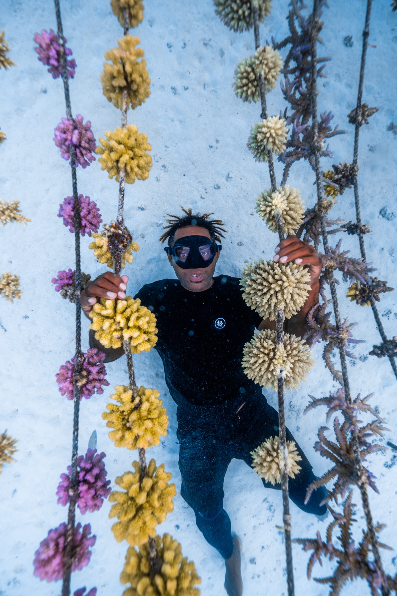 A Gardener at a nursery