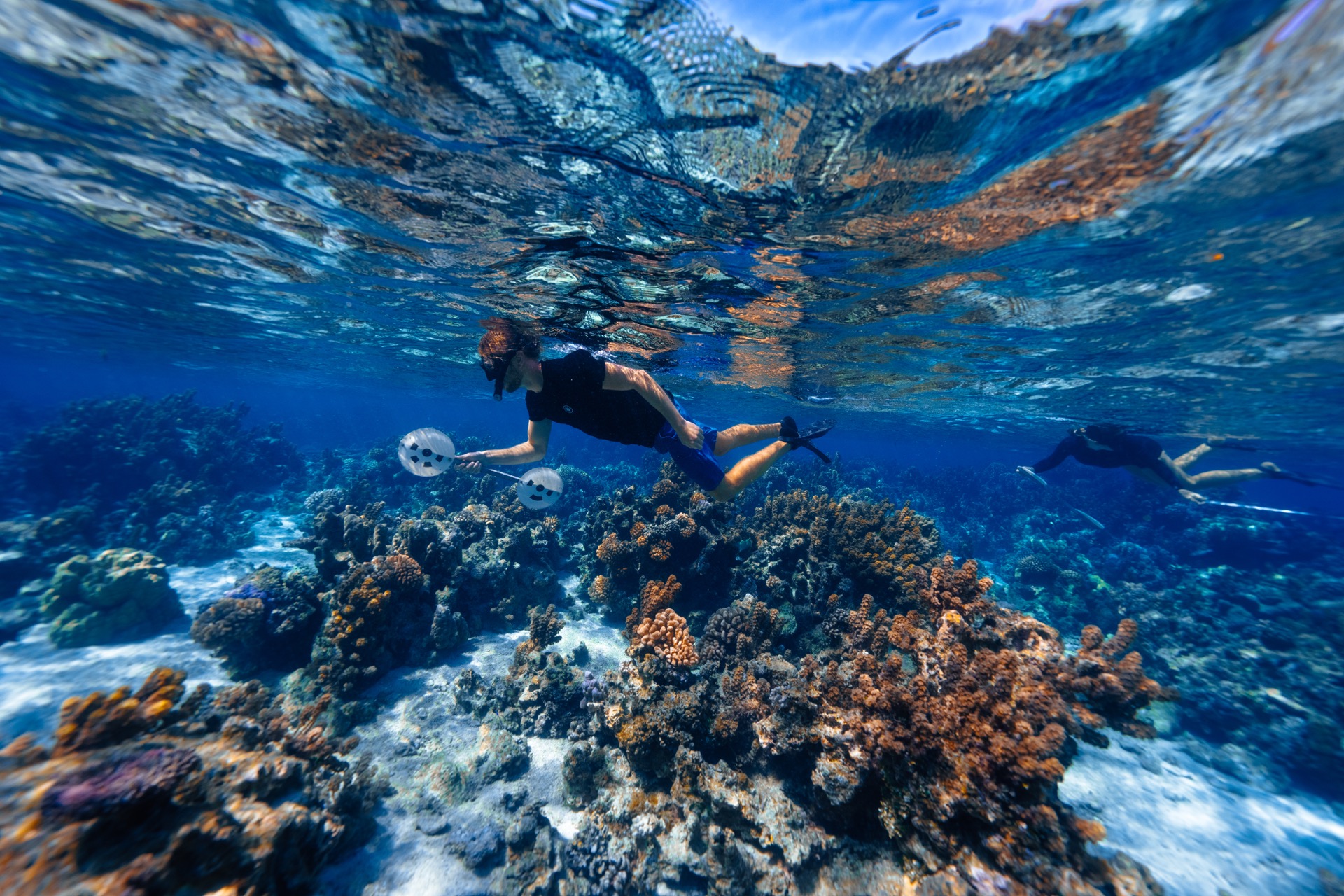Diver mapping a reef with photogrammetry equipment
