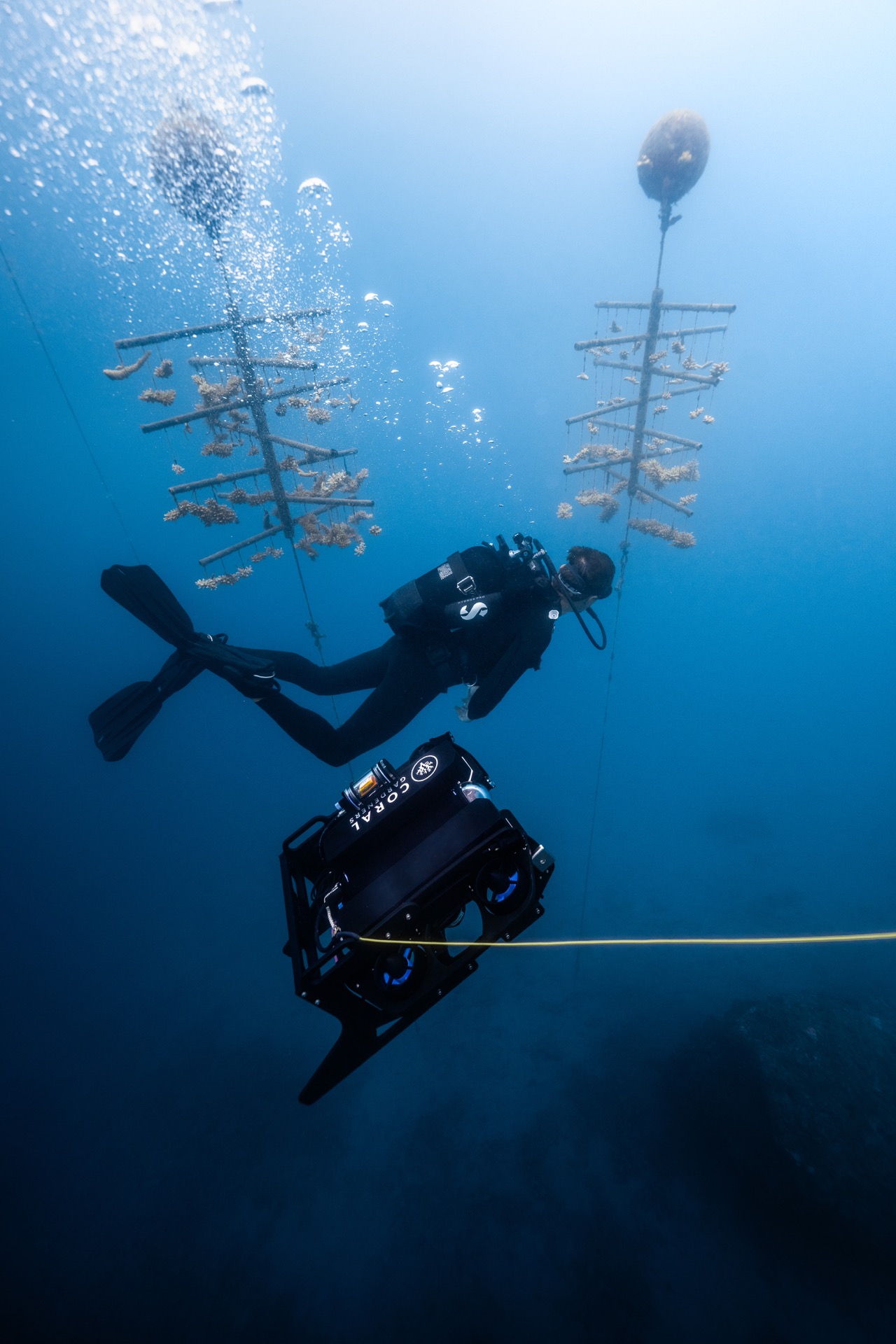 Underwater robot with diver and coral trees