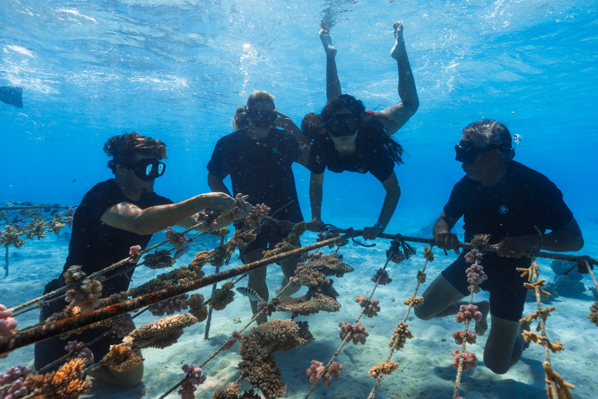 Coral Gardeners team tending a nursery underwater