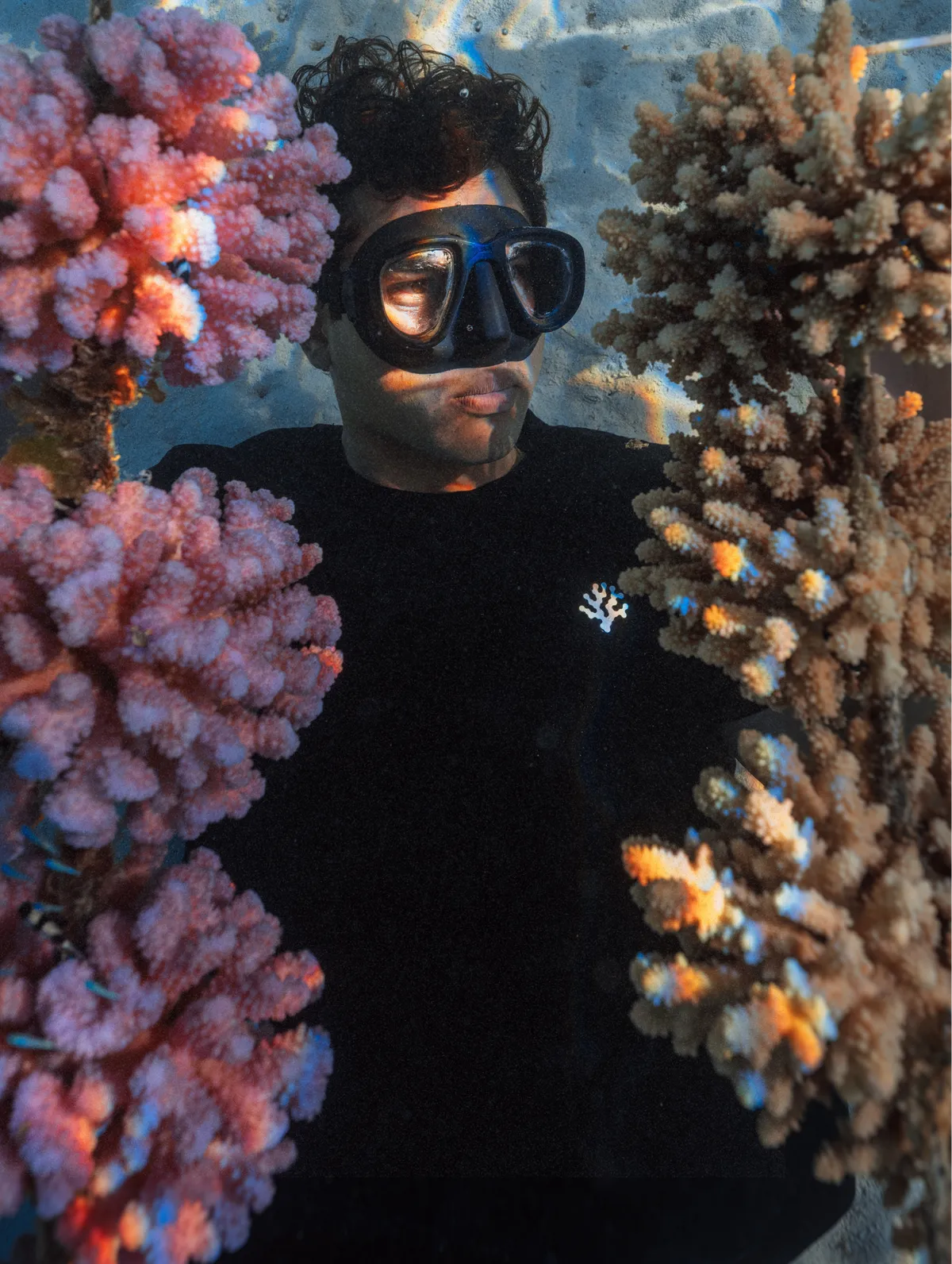 A Gardener underwater between two corals