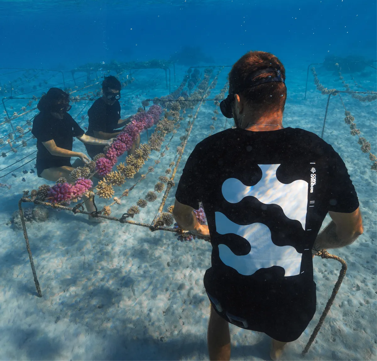 A Gardener at the nursery in the Reef Up tee