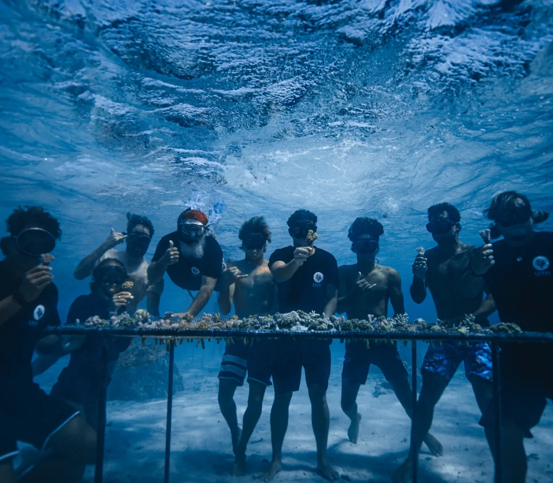 The team underwater, lined up behind a nursery table of coral fragments and giving the shaka