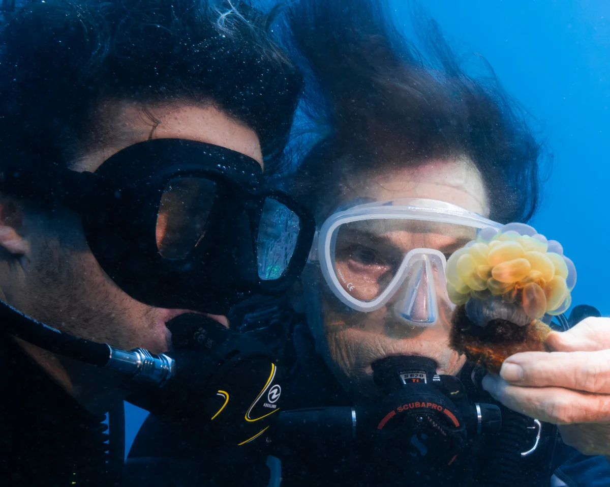 Two divers close together underwater holding a coral fragment