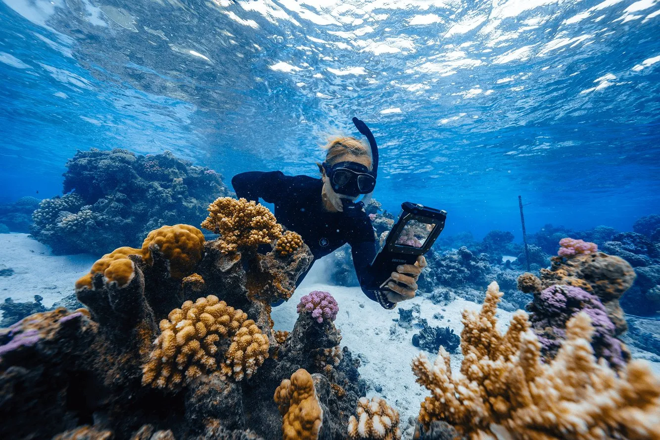 A snorkeller surveying the reef with an underwater tablet