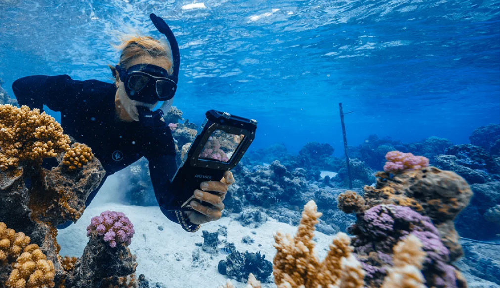 A snorkeller photographing corals on the reef with a phone in an underwater housing