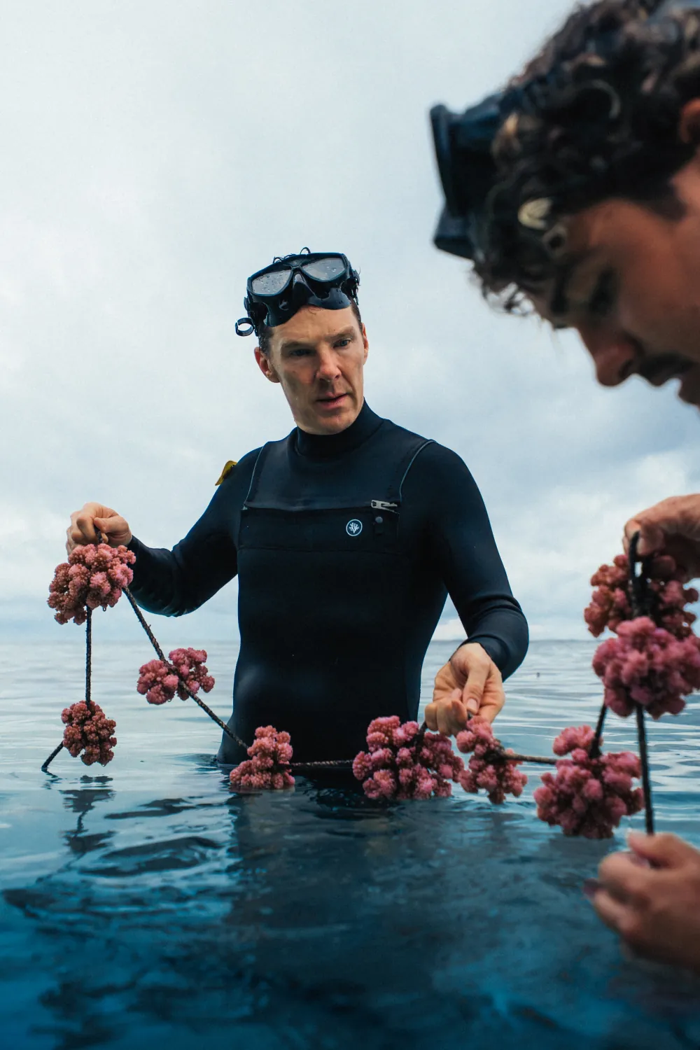 Benedict Cumberbatch in a wetsuit holding ropes of pink coral at the surface