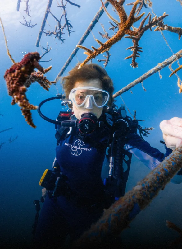Sylvia Earle diving among the nursery trees