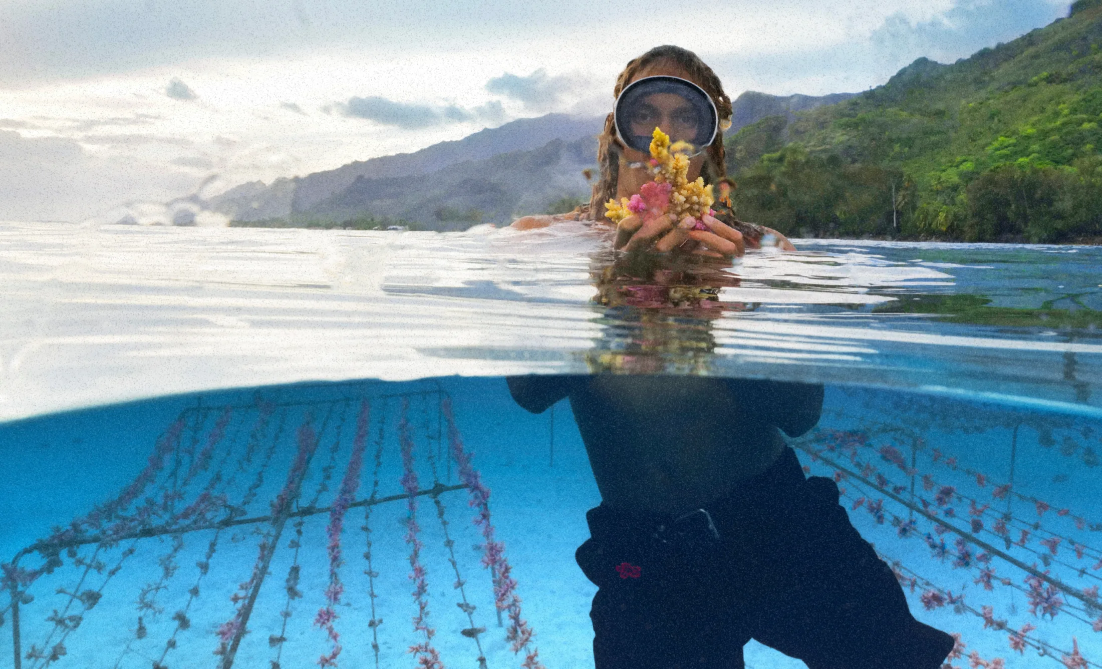 A Gardener at the surface of the lagoon holding a coral fragment, the nursery ropes below