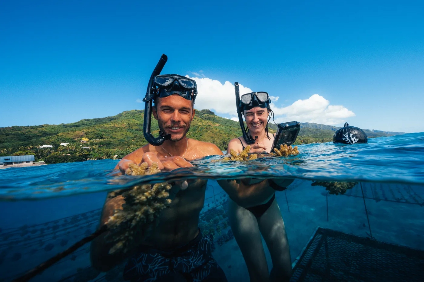 Two visitors at the surface holding coral fragments, Mo’orea behind them